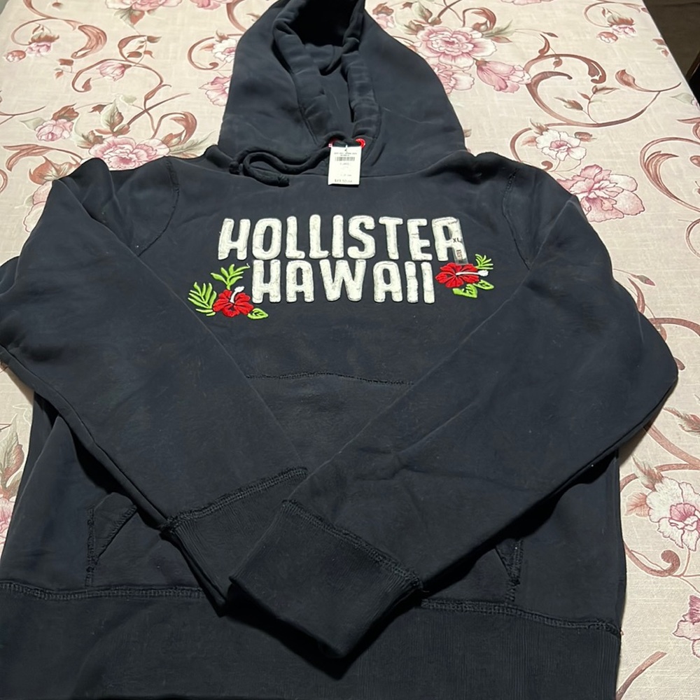 Vintage Hollister Hoodie Size XL